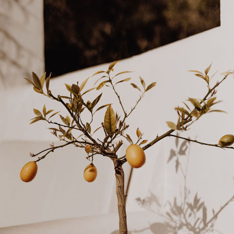 Een Blije Buik met Human Design: optimaliseer je spijsvertering