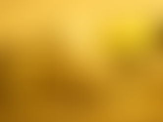 La Corte Ue boccia la prelazione nella finanza di progetto