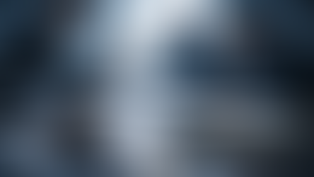 Azioni di responsabilità dei creditori verso gli amministratori di srl ex articolo 2476 del codice civile