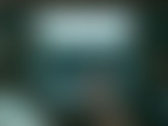 Mercato unico dei servizi digitali: il nuovo Regolamento europeo