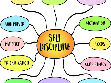 LA DISCIPLINE