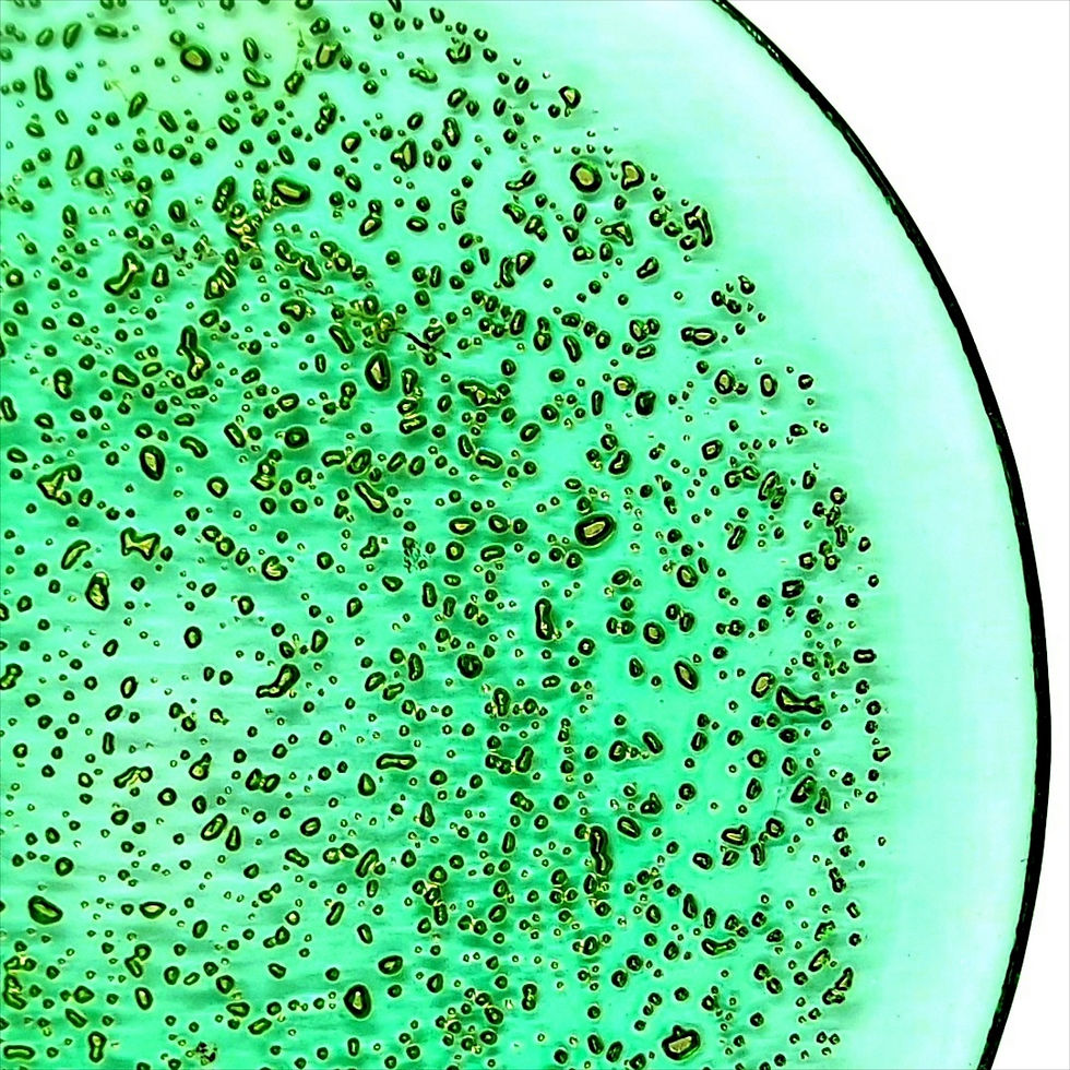 Thumbnail: ISLA 11" Dinner Plate Emerald/Gold