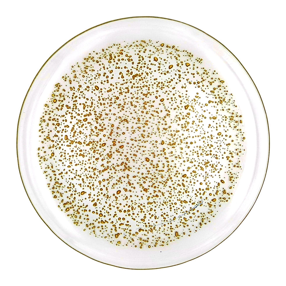 Thumbnail: ISLA 11" Dinner Plate Clear/Gold