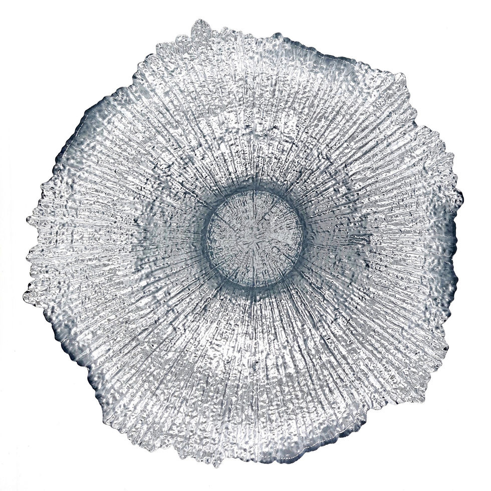 Thumbnail: CORAL 14" Centerpiece Bowl