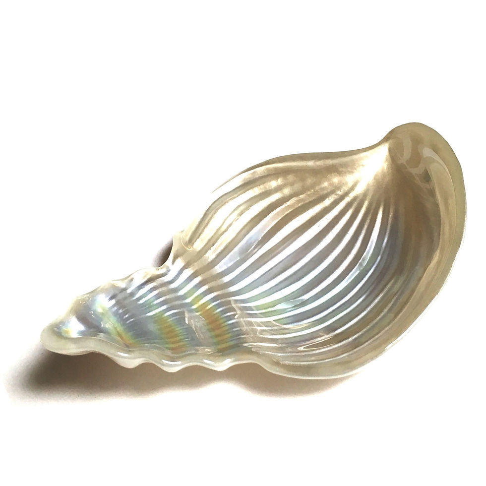 Thumbnail: CONCH SHELL 11.5" Tray