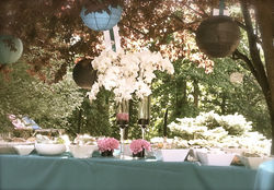 Food Table