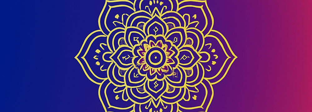 Professional Pivot Program