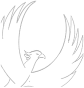 PT_Bird_Graphic_2-removebg-preview_edite
