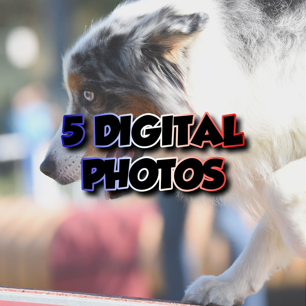 5 Photos Digital Format