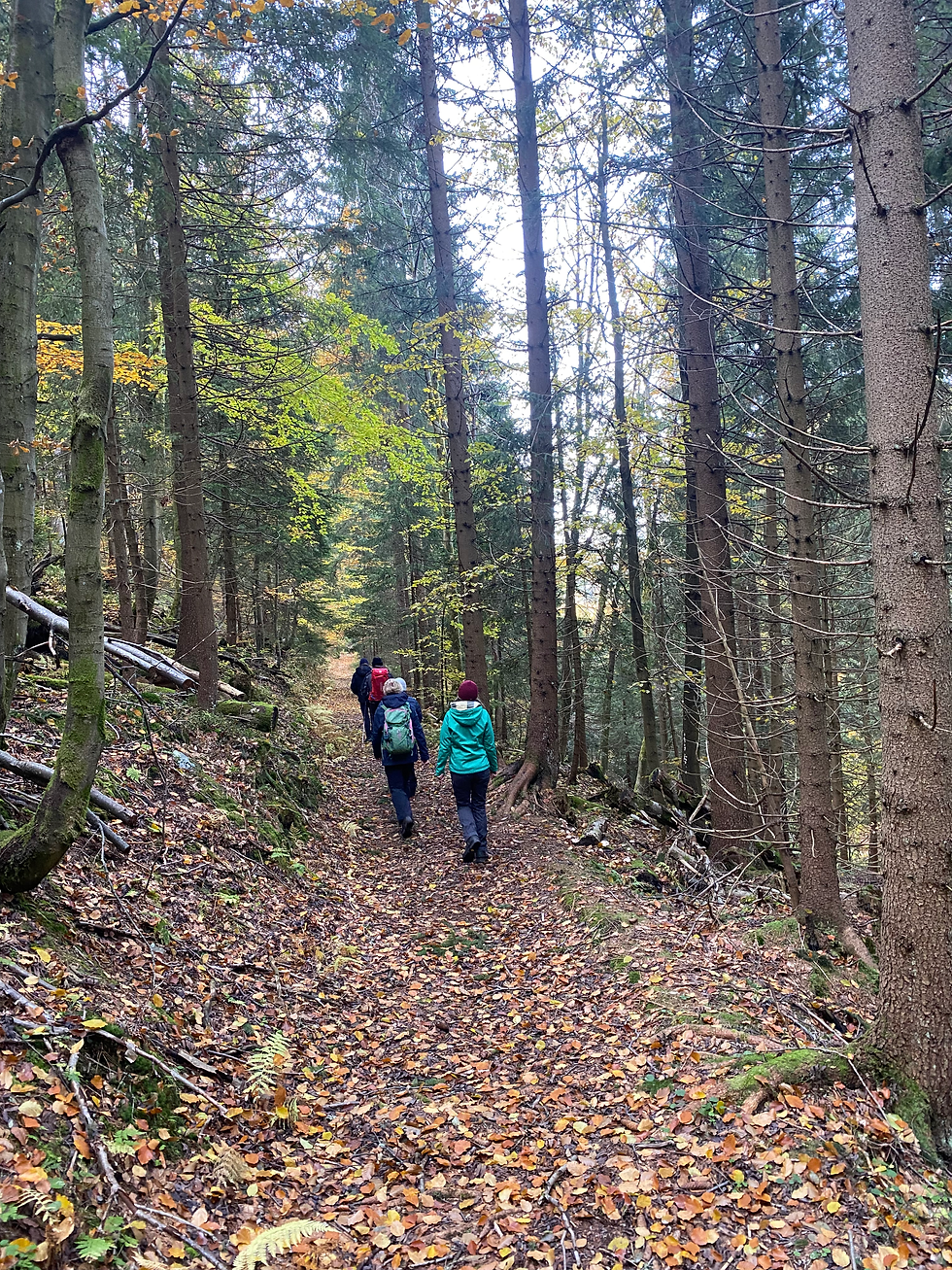 Wanderer in der freien Natur