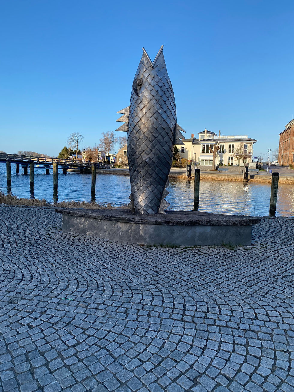 Silberfischch
