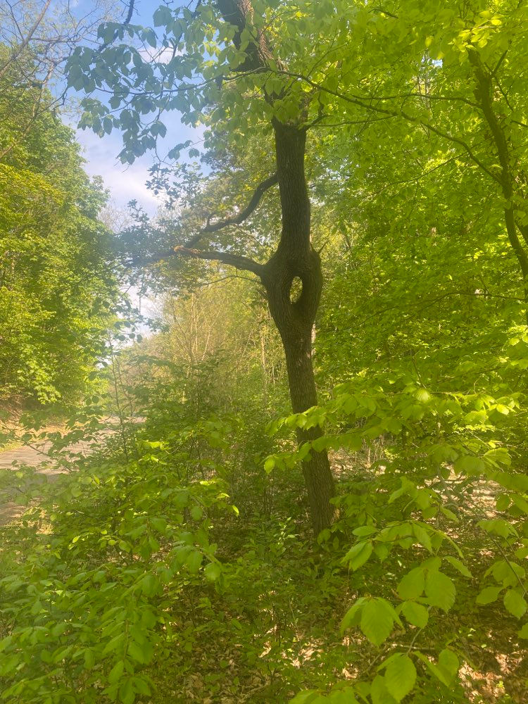 was sich hier die Natur wohl gedacht hat?