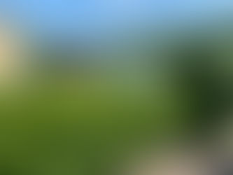 Raus zur Mosel, für eine Woche