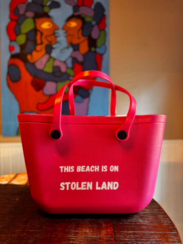 "This Beach is on Stolen Land" Pink Rubber Beach Bag