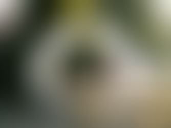 OC Sport et R&D Cycling annoncent un partenariat stratégique en Suisse romande.