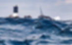 SDFP-E3-J3-NICOLAS-LUNVEN-PRB-20_edited.jpg