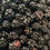 Thumbnail: Apple Shreds Hint of Blackberry