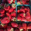 strawberries.jpeg