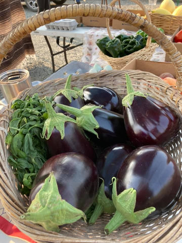 egplant.jpeg