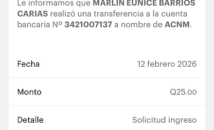 Ejemplo Boleta.jpg