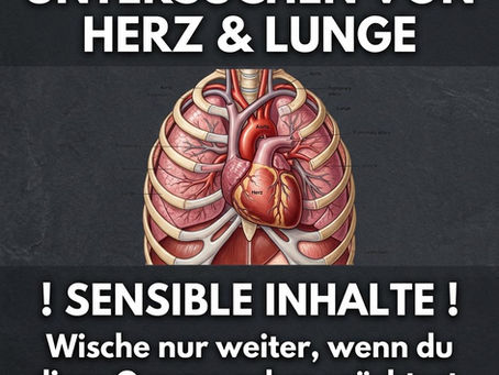 Sezieren im Biologieunterricht