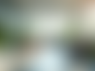 Building a Positive and Engaged Workplace: Why It Takes More Than Good Intentions