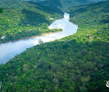 projeto-redd-vale-do-jari-landscape-01.jpg