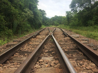 Ferrovia do Trigo (EF- 491), travessia Guaporé- Muçum/ RS