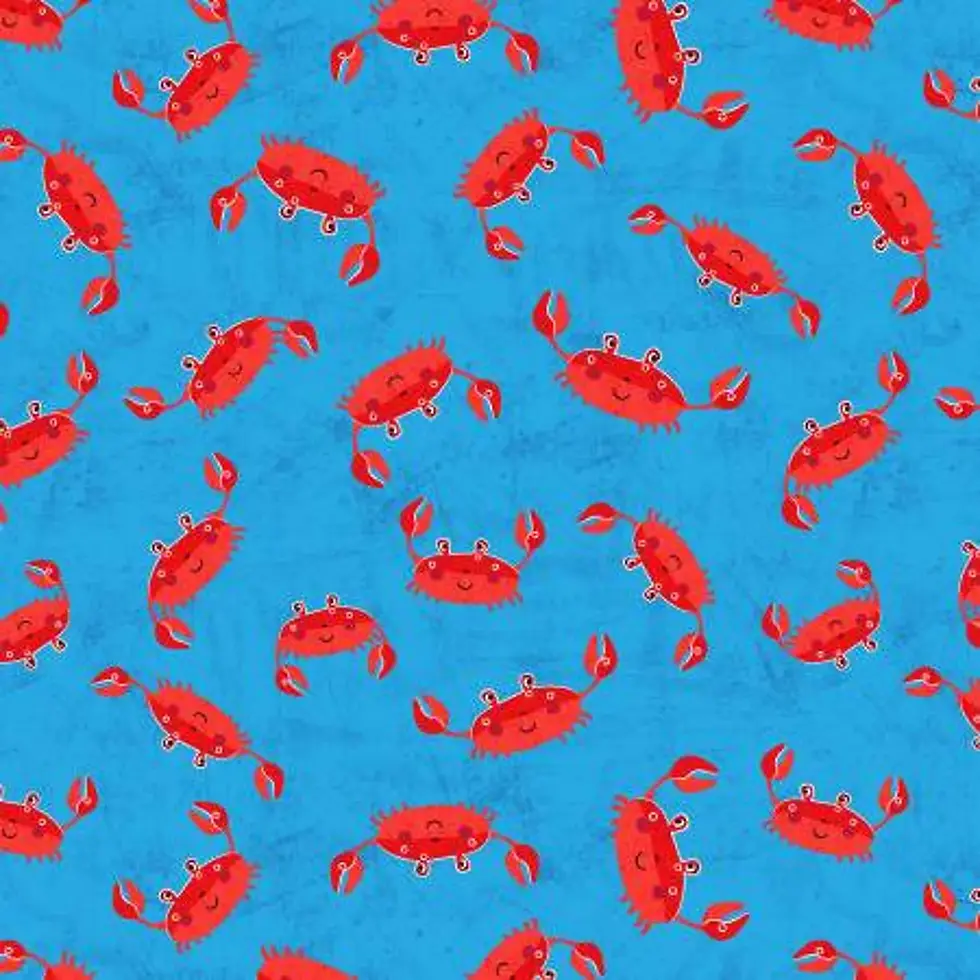 Thumbnail: Miller Oh Snap!