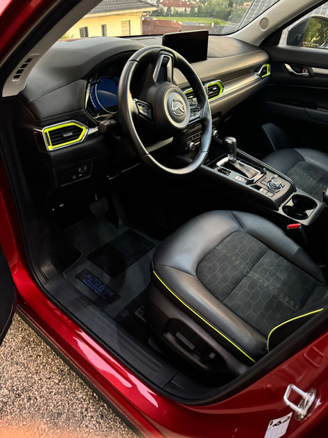 Mazda Innenraum Reinigung