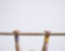Gymnast on a Wooden Bar