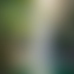 Embracing Renewal: Navigating Life's Shifts Through Sound and Community