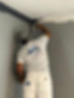 9.jpeg