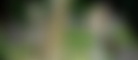 The Biggest Regret Of The Dying (And How To Overcome It)