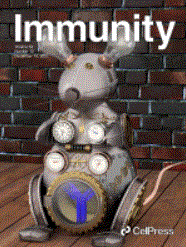 4.GIF