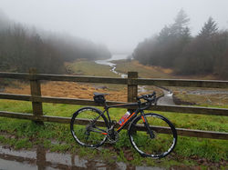 Giant Contend SL1