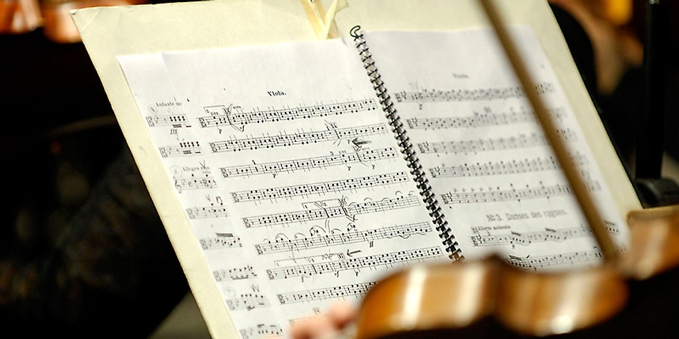 INTERNATIONAL MUSICAL COMPOSITION COMPETITION FOR SYMPHONIC ORCHESTRAS, “JUJUY HEARTLAND OF THE ANDES”