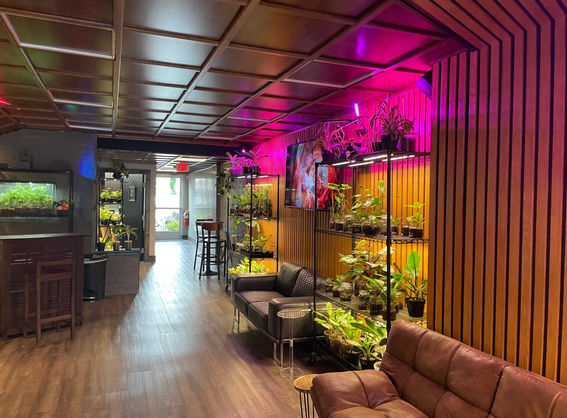 event hall rental space custom mahogany luxury expensive plant tropical houseplant wedding birthday shower