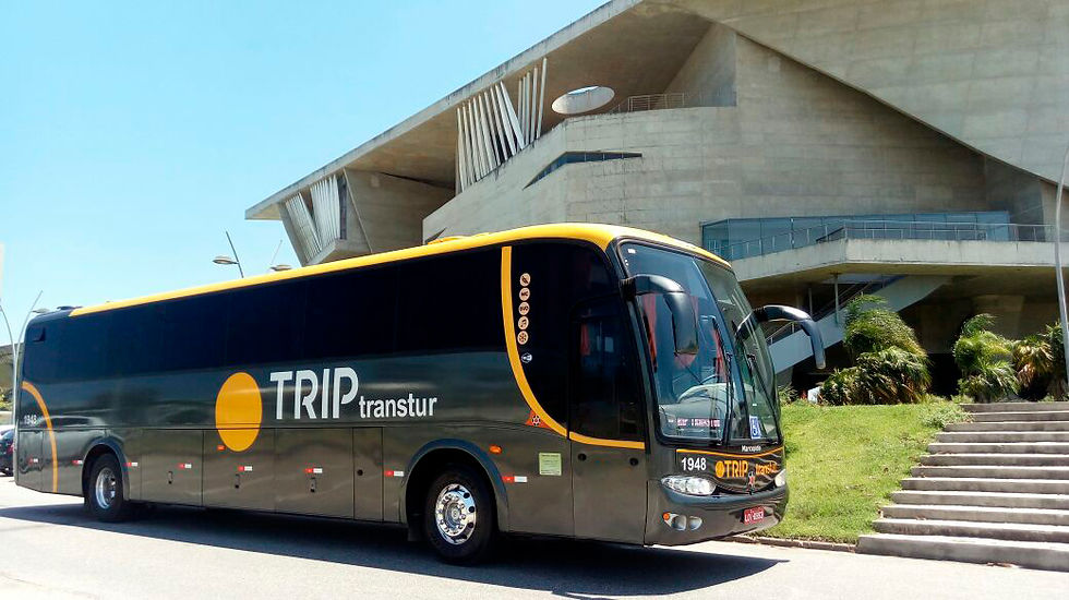 ônibus executivo 46 lugares
