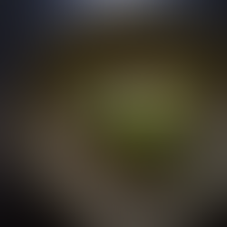 Découvrez la Maison de Soma, une adresse incontournable de la gatronomie lors de votre séjour aux Petits Chalets