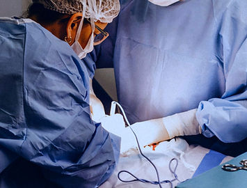 pet surgery