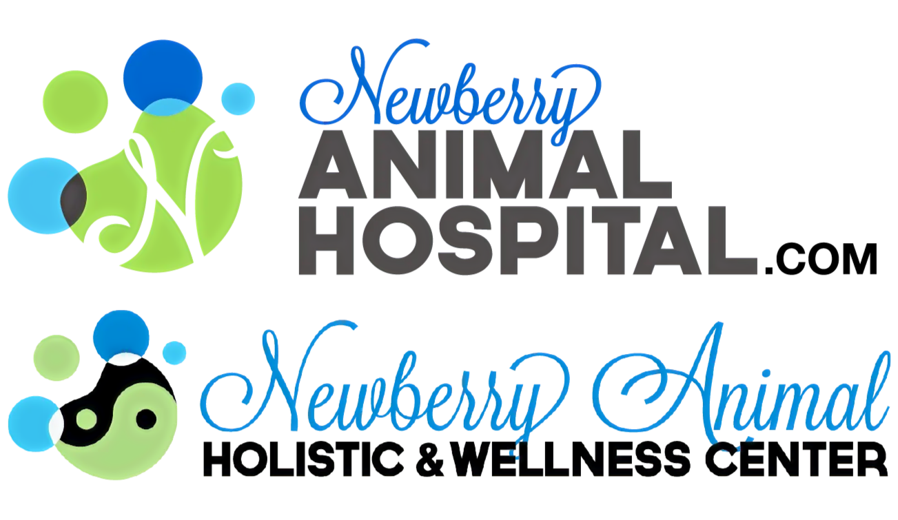 Monthly Promotions Veterinary Care Newberry Animal Hospital