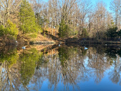 Woodbine, MD