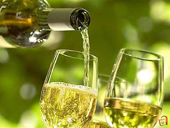 torrontes.jpeg