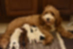 Thumbnail: Please call for availability and pricing