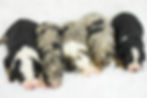 Thumbnail: Please call for availability and pricing
