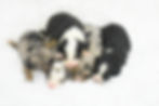 Thumbnail: Please call for availability and pricing