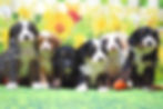 Thumbnail: Please call for availability and pricing