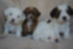 Thumbnail: Please call for availability and pricing