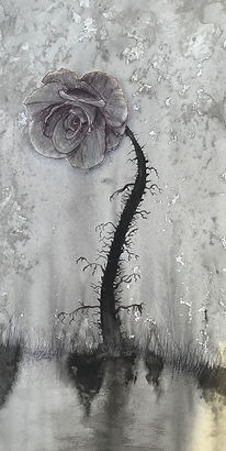 Dark Rose